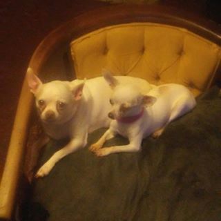 Profile Picture of David Spring (@david.spring.961) on Facebook