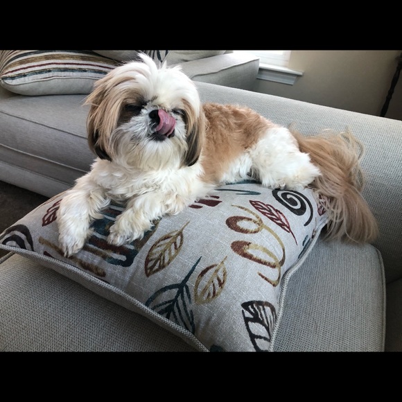 Profile Picture of Tonny Roros (@tonnyg2324) on Poshmark