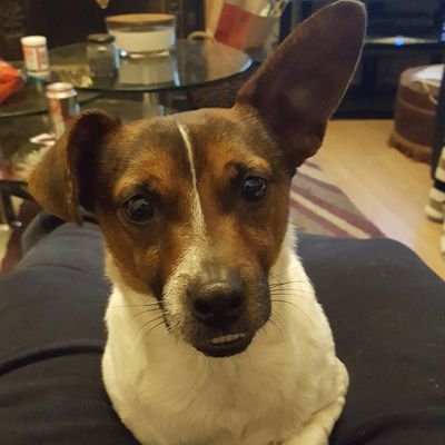 Profile Picture of Aislinn Byrne (@Ashbyrne85) on Twitter