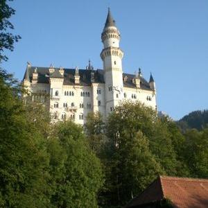 William Turgeon - Twitter Profile Picture of William Turgeon (@vaporshark9395) on Twitter