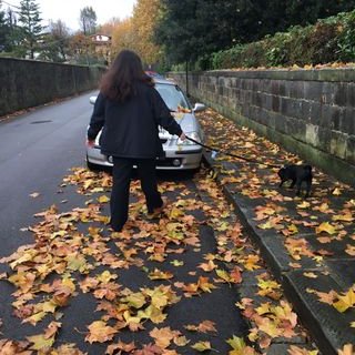 Profile Picture of Alice Caruso (@AliceCaruso11) on Twitter