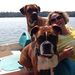 Profile Picture of Christine Hendrick-Correll (@appletonbeadgar) on Pinterest