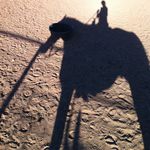 Profile Picture of Candace Stout Wike (@cswike720) on Instagram