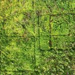 Profile Picture of Joe Scott (@joescottsart) on Instagram