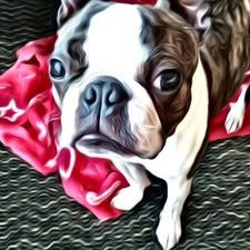 Profile Picture of Logan Saxby (@LoganSaxby) on Twitter