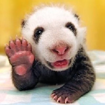 Profile Picture of HuangPeng (@HuangPeng1977) on Twitter