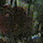 Profile Picture of Joel Arellano (@jodagz) on Flickr