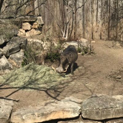 Profile Picture of Timothy Alvarez (@Timothy74327887) on Twitter