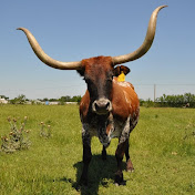 Profile Picture of Chad Renfro (@chadrenfro1284) on Youtube