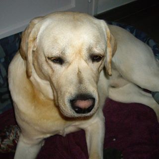 Profile Picture of Suzanne Louis Humbert (@suzanne.louishumbert) on Facebook