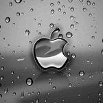 Bobby - Instagram Profile Picture of Bobby (@bobby.lockeron) on Instagram