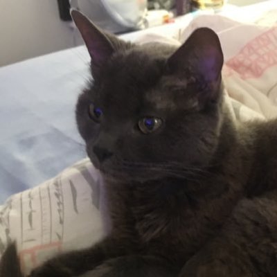 Profile Picture of Caroline T-spears (@Carolinetrousse) on Twitter