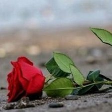 Profile Picture of ساهر الليل (@AmiAmiweaver905) on Twitter