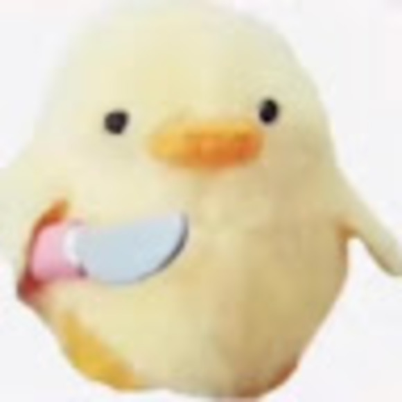 Profile Picture of Dora Ramos (@aliciacool1906) on Poshmark