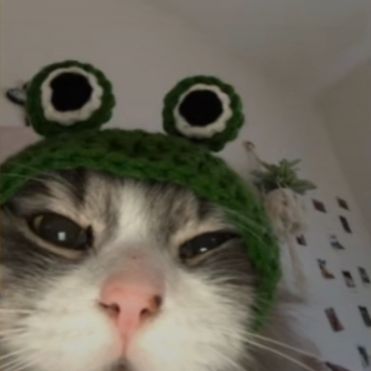 Profile Picture of @xxx_saucxda_ (@daniel_ismael_) on Tiktok