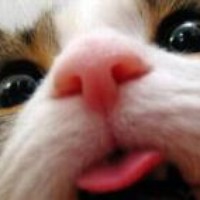 Profile Picture of Lucas Wong (@lucas-wong-4) on Quora