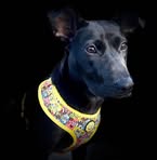 Profile Picture of Anne Schroeder (@MystixShadow) on Facebook