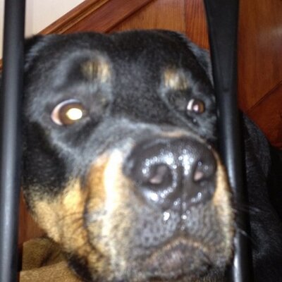 Profile Picture of Ted Staples (@ebstaples) on Twitter