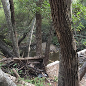 Profile Picture of Daniel Ko (@danielko4548) on Youtube