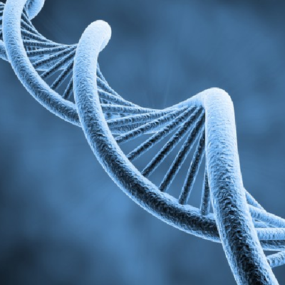 Profile Picture of Peter Russo (@GenomicsPJR) on Twitter