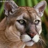 Profile Picture of Michael Powers (@michael-powers-357) on Quora