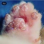 Profile Picture of jesseley (@jesseleydaisy) on Instagram