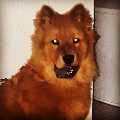 Profile Picture of Ricardo Muñoz (@RichardMunozC) on Twitter