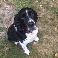 Profile Picture of Cathy Klein (@cathy-klein-8) on Quora