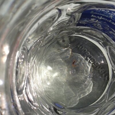 Lynne Putnam - Twitter Profile Picture of Lynne Putnam (@PMECUSA) on Twitter