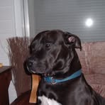 Profile Picture of Michael Downen (@michael.downen.3) on Facebook