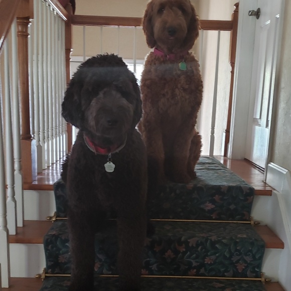 Karhy Vankleeck - Poshmark Profile Picture of Karhy Vankleeck (@kvankleeck1) on Poshmark