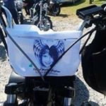 Profile Picture of Lisa Erickson Norwood (@lisaandcurt91199) on Instagram