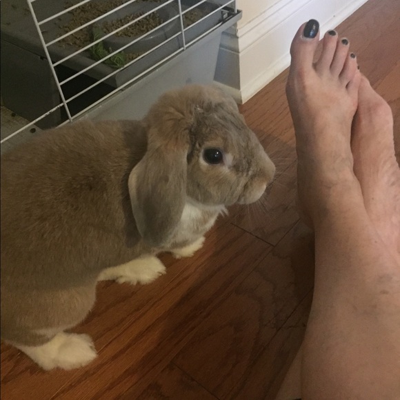 Profile Picture of Lori Klein (@lklein56) on Poshmark