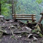 Profile Picture of 1 follower (@phedrapardun695) on Instagram