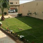 Profile Picture of Ashraf Zaki (@ashraf.zaki.712) on Instagram