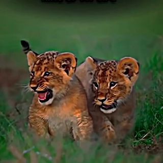 Profile Picture of Aniket Gund 💟🥀 (@aniket_gund_4700) on Instagram