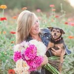 Profile Picture of Cindy Proctor (@twohorsesfarm) on Instagram