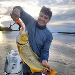 Profile Picture of Jose Henrique Vieira Caretta (@vieiracaretta) on Instagram