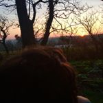 Profile Picture of Clare Savage (@zen_reflexology) on Instagram