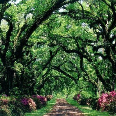 Al Amin Elahi Tuhin - Twitter Profile Picture of Al Amin Elahi Tuhin (@aetuhin) on Twitter