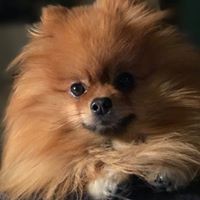 Profile Picture of James Westby (@james-westby) on Quora