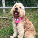 Profile Picture of Lucy Negus (@lucydoodleness) on Instagram