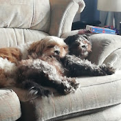 Profile Picture of Louise Cavanagh (@LouiseCavanagh-om7nx) on Youtube