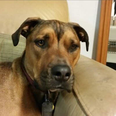 Profile Picture of Ken Gilmore (@dubwaaken) on Twitter