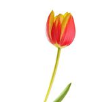 Profile Picture of Paul Brammer Photography (@paulbrammerphotography) on Instagram