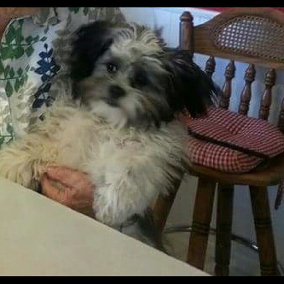 Profile Picture of Tonya Riggins (@tdenee63) on Poshmark