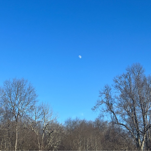 Profile Picture of Mari Hartog (@mommytotwins) on Poshmark