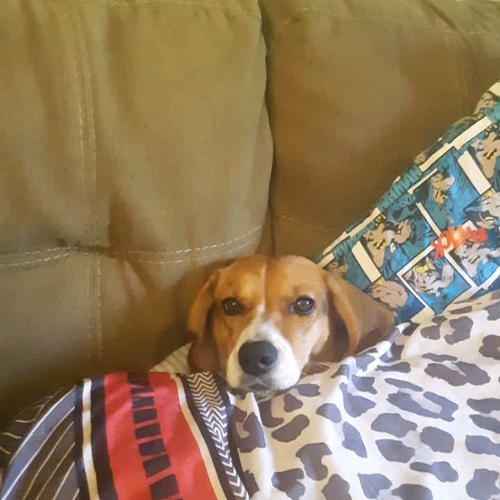 Profile Picture of Dwain Grant (@dwaingrant8) on Tiktok