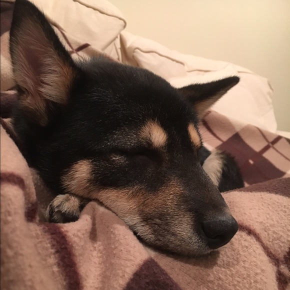 Profile Picture of Brian Kan (@mercedesbensusa) on Poshmark