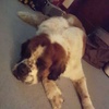Profile Picture of Tyler Hines (@@tylerhines3) on Tiktok